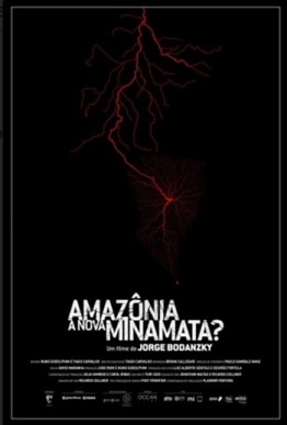 AMAZÔNIA, A NOVA MINAMATA?