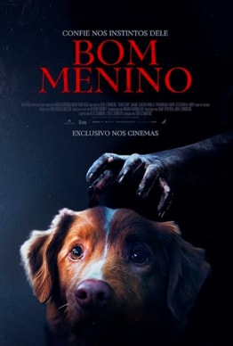 BOM MENINO
