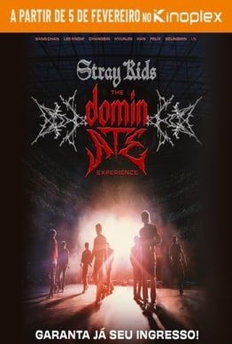 STRAY KIDS: THE DOMINATE EXPERIENCE