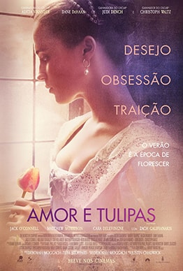 AMOR E TULIPAS AMOR E TULIPAS